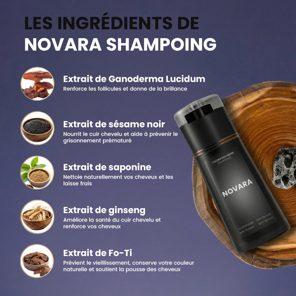Shampoing colorant instantané homme